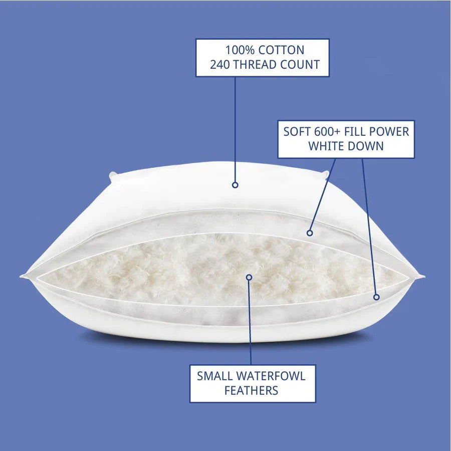 Northern Feather Double Down Pillow Queen 20 x 30 Northern Feather Double Down Pillow Hush Home Furnishings